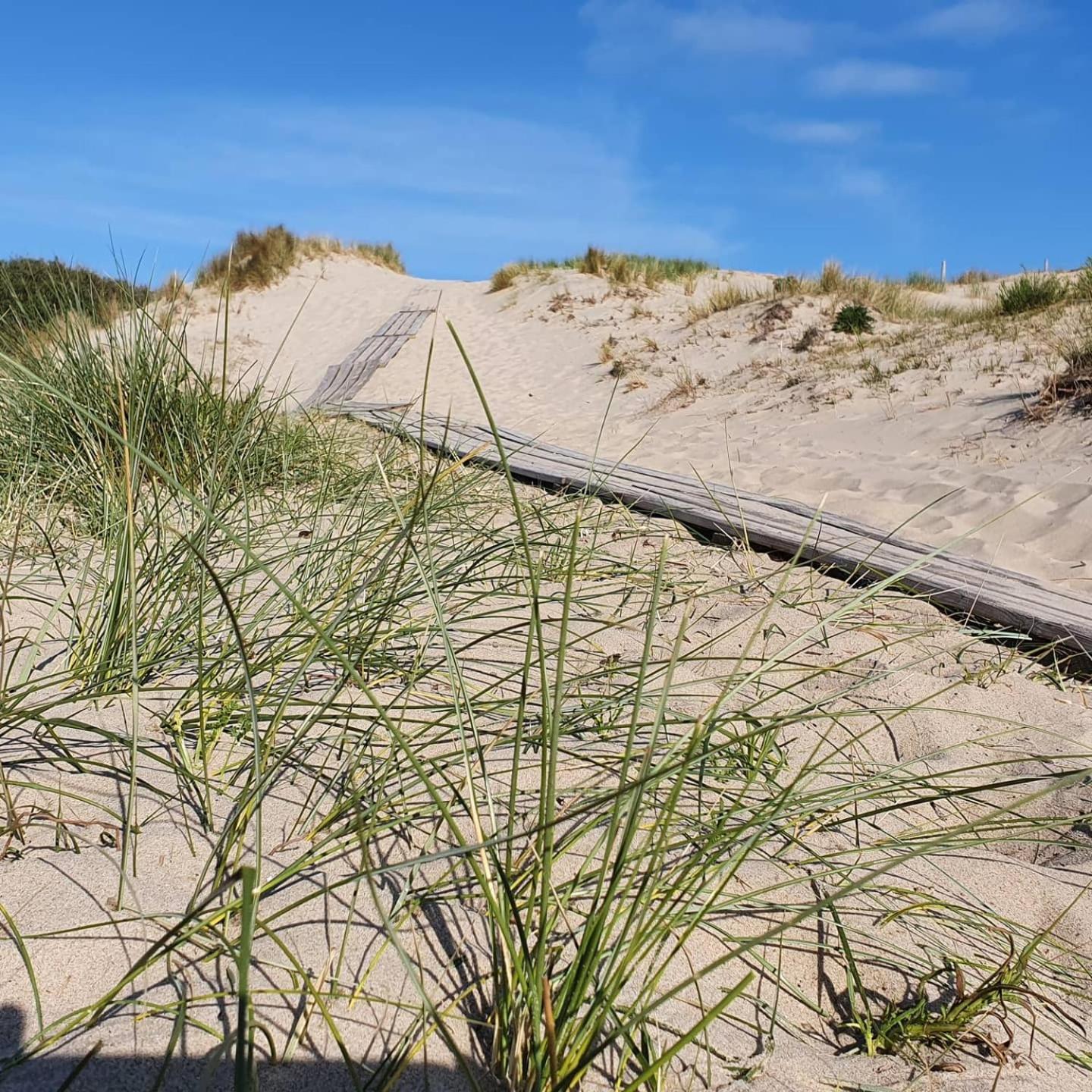 Studio Aan Zee Oostkapelle Rum bild